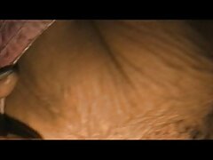 Curvy azione con prefetto Adriana Maya da Realtà Re video porno di vecchie